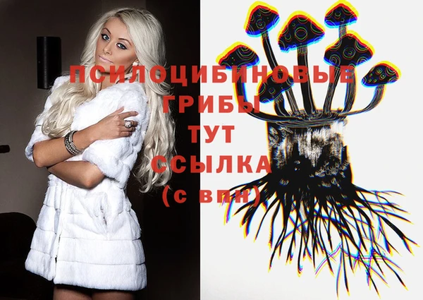 бошки Арсеньев