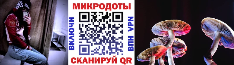 дарк нет какой сайт  Сибай  Галлюциногенные грибы Psilocybine cubensis 
