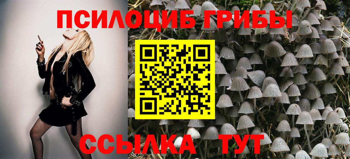 Галлюциногенные грибы GOLDEN TEACHER Сибай