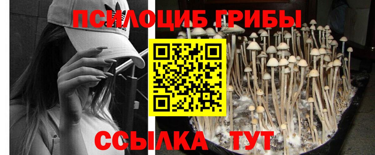 Сибай  Кокаин  Конопля  Вход с VPN  ГАШИШ  ГАШ  Меф   Как найти закладки? 